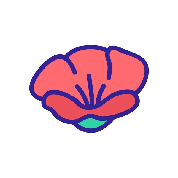 Die Mohnpflanze Blume Symbol Vektor Umriss Illustration — Stockvektor