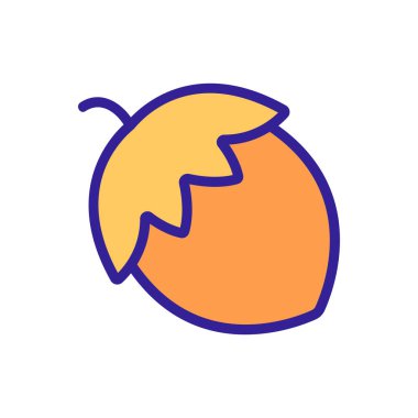 Meşe palamudu ikonu vektörü. Meşe palamudu. renk sembolü çizimi