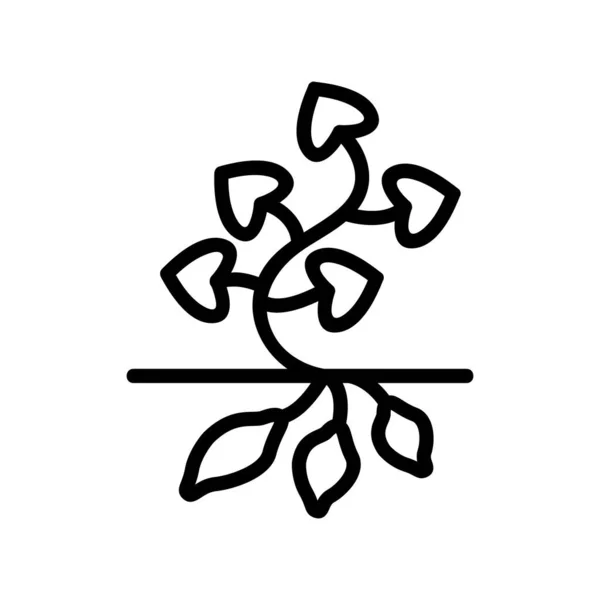サツマイモの植物のアイコンベクター サツマイモの植物の看板 孤立した輪郭記号図 — ストックベクタ