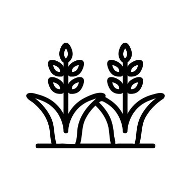 pirinç filizleri ikon vektörü. Pirinç filizi tabelası. izole edilmiş sınır sembolü çizimi