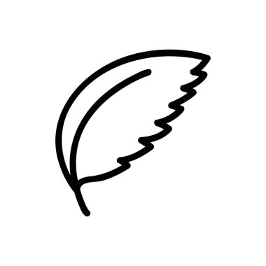 Bitki yaprağı nane ikonu vektörü. Bitki yaprağı nane tabelası. izole edilmiş sınır sembolü çizimi