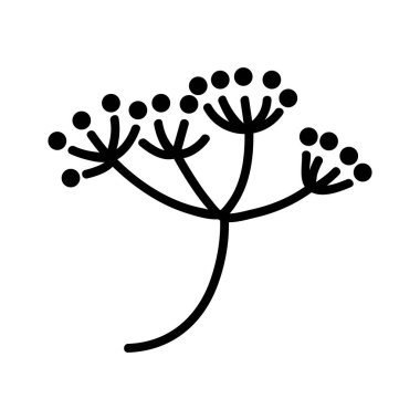 Dereotu infloresans ikon vektörü. Dereotu infloresans işareti. izole edilmiş sınır sembolü çizimi