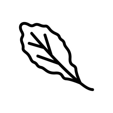 organik roka yaprağı ikon vektörü. organik roka yaprağı işareti. izole edilmiş sınır sembolü çizimi