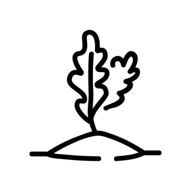 Arazi ikonu vektöründe roka. Arugula yer işaretinde. izole edilmiş sınır sembolü çizimi