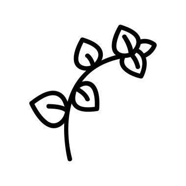 Baharatlı kekik otu ikon vektörü. Baharatlı kekik yaprağı. izole edilmiş sınır sembolü çizimi