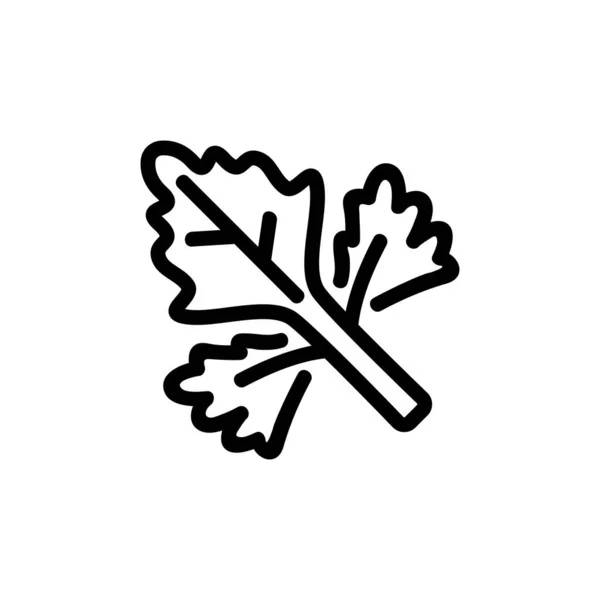 Φορέας Εικονιδίου Φύλλων Κόλιανδρου Σημάδι Από Φύλλα Κόλιανδρου Απομονωμένη Απεικόνιση — Διανυσματικό Αρχείο