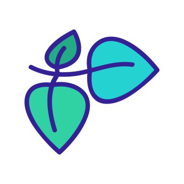 Baharatlı baharat kokulu kekik ikonu vektörü. Baharat kokulu otlu kekik tabelası. renk sembolü çizimi