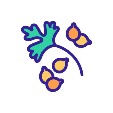 Kişniş yaprağı ve tohum ikonu taşıyıcısı. Kişniş yaprağı ve tohum ekme işareti. renk sembolü çizimi