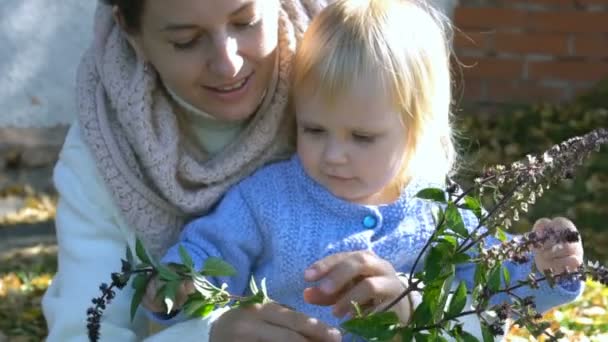 Mooie moeder met schattige dochter ruikt basilicum — Stockvideo