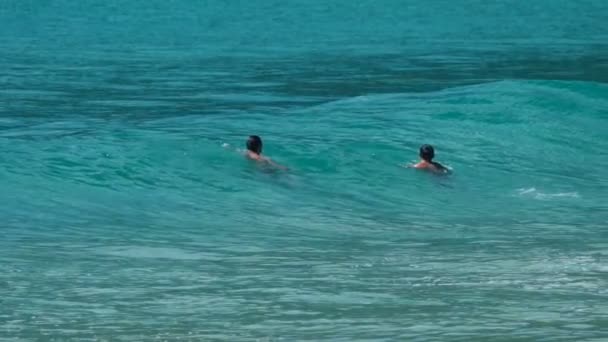 Vagues incroyables de l'océan — Video