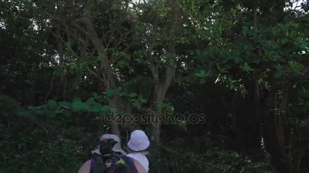 Turista con niña caminando por el matorral hasta la orilla — Vídeos de Stock