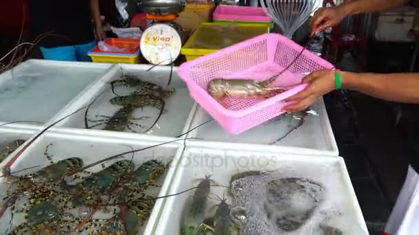 Mořské plody v nádobě se studenou vodou na trhu — Stock video