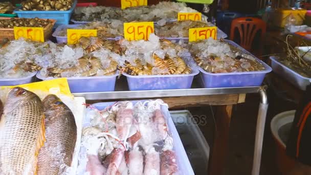 Fresh seafood on counter at the Thai market — Stock Video