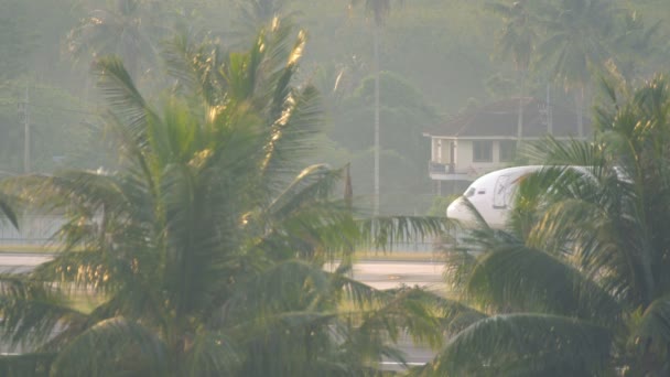 Royal Flight Boeing cavalga atrás de palmeiras — Vídeo de Stock