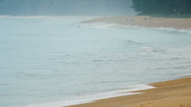 Тропічний пляж з бризкими хвилями — стокове відео