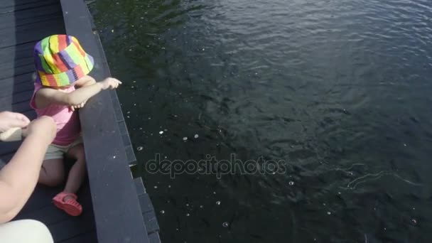 Enfant nourrissant des poissons dans l'étang — Video