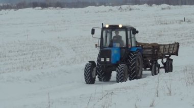 Mavi traktör römork ile kar sahaya sürmek
