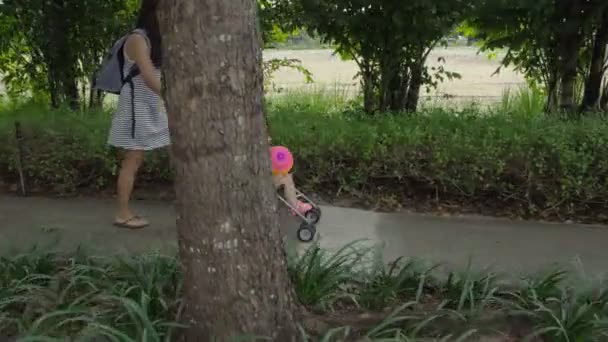 Mooie vrouw met Afrikaanse vlechten vervoeren meisje in kinderwagen — Stockvideo