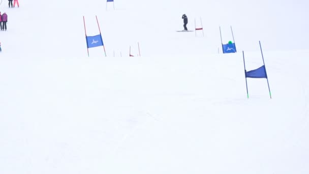 Lyžař jede na sjezdové lyžování — Stock video