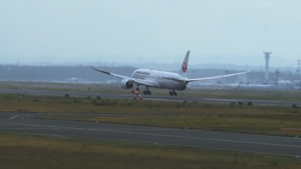 Japon Havayolları Boeing 787 Dreamliner inişi — Stok video