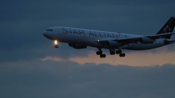 Airbus A340 närmar sig på tidigt på morgonen — Stockvideo