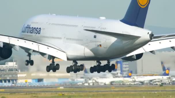 Lufthansa Airbus A380 chegou a Frankfurt am Main — Vídeo de Stock