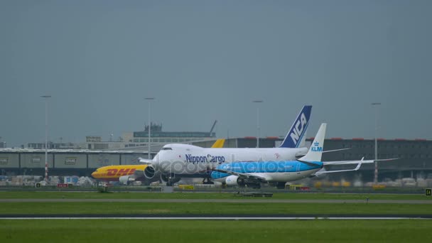 Nippon Cargo Boeing 747 en Schiphol aeropuerto — Vídeo de stock