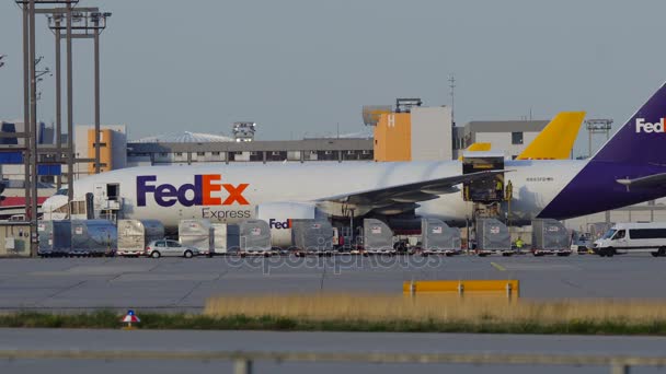 Fedex Boeing 747 está cargando — Vídeos de Stock