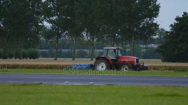 Трактор Плуги пшенична сфера — стокове відео
