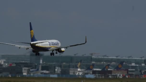 Lądowania z Ryanair Boeinga 737 w gorący letni dzień — Wideo stockowe