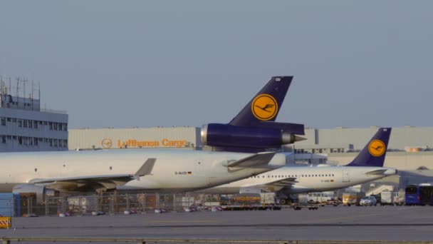 Lufthansas uçaklar Frankfurt Havaalanı — Stok video