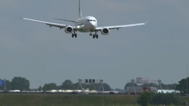 Boeing 737 de las aerolíneas Transavia aterrizaje — Vídeo de stock