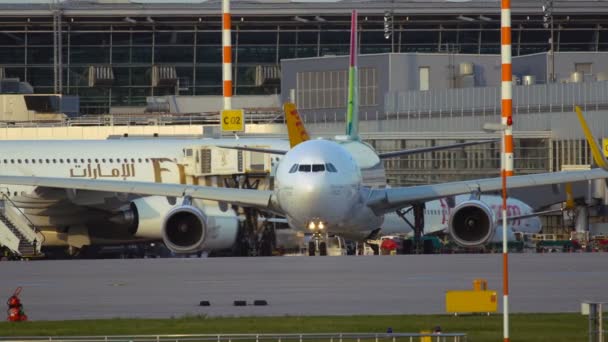 Airbus A330 fra luftfartsselskaper som flytter til rullebanen – stockvideo