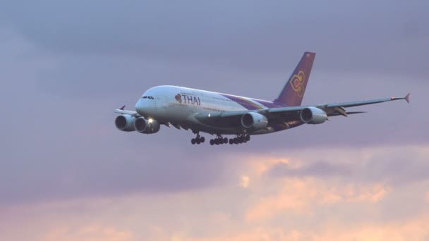 Airbus A380 della Thai Airlines in avvicinamento al tramonto — Video Stock