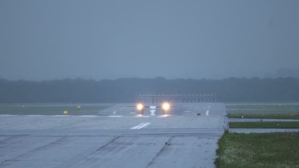 Liebre correr a través de la pista delante del avión — Vídeo de stock