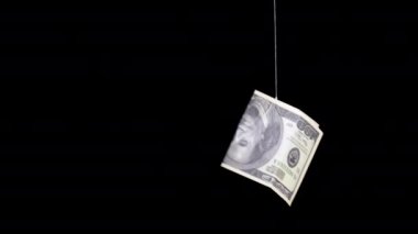 Para ipin üzerinde. Tuzak