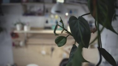 İş yerinde Asyalı kadın çömlekçi