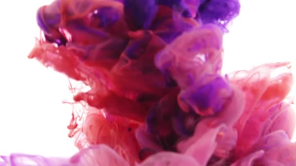 Красные и фиолетовые чернила в воде — стоковое видео