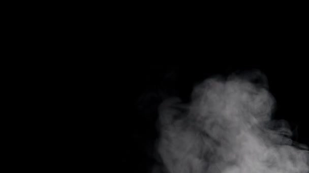 在黑色背景上飘扬的烟雾 — 图库视频影像