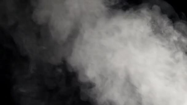 Абстрактный белый дым на черном фоне — стоковое видео