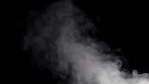 Floating white smoke — Stock Video