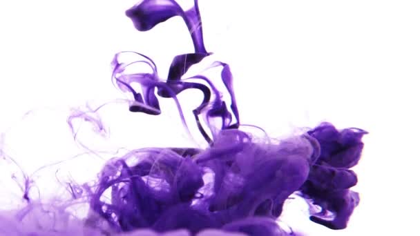 Encre violette sous l'eau — Video