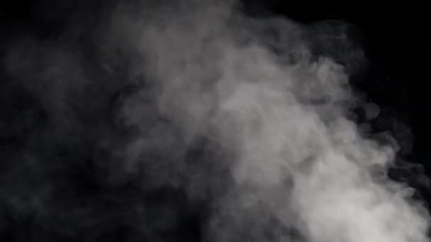 Abstrakt vit rök på svart bakgrund — Stockvideo