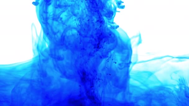 Blått bläck under vattnet — Stockvideo