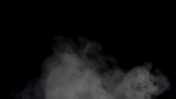 White smoke floating on black background — Stock Video