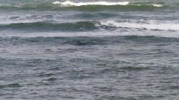 Okyanus sallanıyor. — Stok video