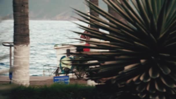 Jovem homem bonito correndo ao longo da praia — Vídeo de Stock