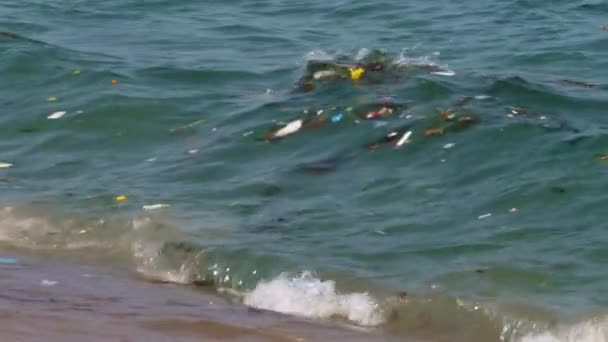 Umweltverschmutzung Müll im Meer mit verschiedenen Arten von Müll an Land — Stockvideo