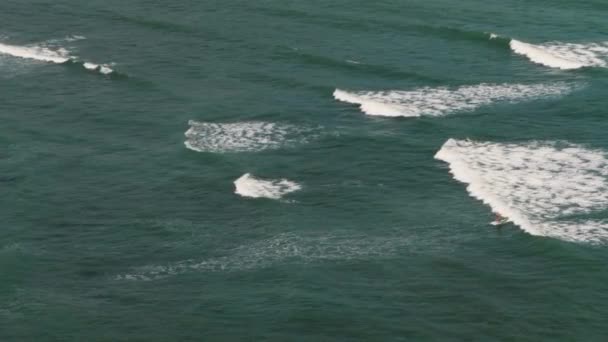 Vista aérea de los paseos de surfistas en el océano — Vídeos de Stock