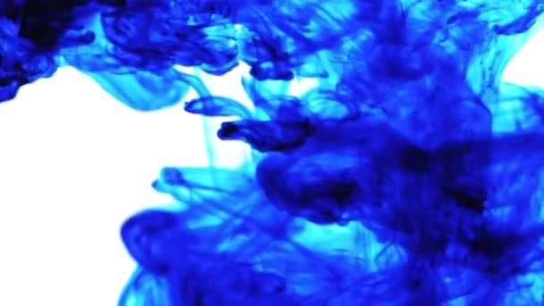 Couleur bleue tourbillonnante dans l'eau — Video